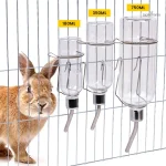 Abreuvoir pour lapin, accessoire essentiel pour l'hydratation