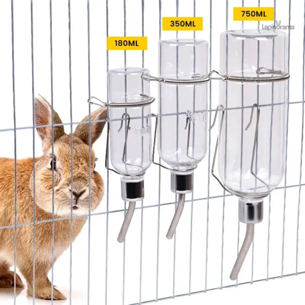 abreuvoir-lapin-1 Abreuvoir pour lapin, accessoire essentiel pour l'hydratation