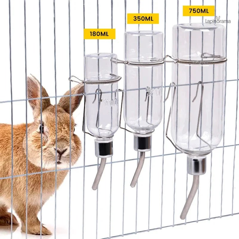 Nourriture Lapin
