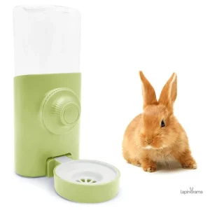 Abreuvoir automatique pour lapins