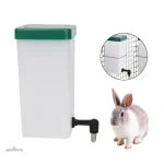 Abreuvoir pour lapin nain, idéal pour l'hydratation