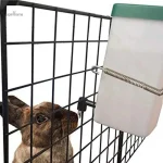Distributeur d'eau pour lapin nain, pratique et efficace