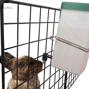 Distributeur d'eau pour lapin nain, pratique et efficace