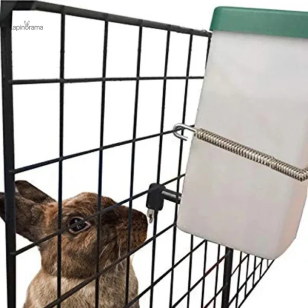 Distributeur d'eau pour lapin nain, pratique et efficace