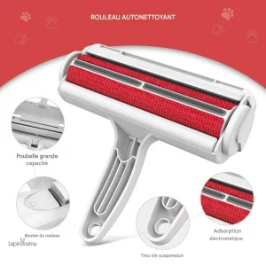 Brosse pour éliminer les poils de lapin