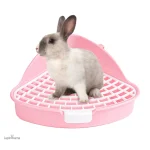 Litière lapin, design adapté pour le bien-être de votre animal