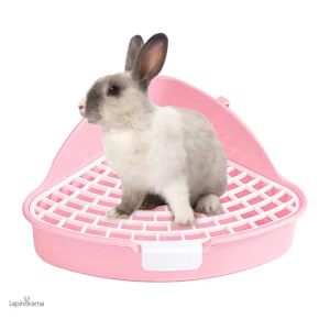 Litière lapin, design adapté pour le bien-être de votre animal