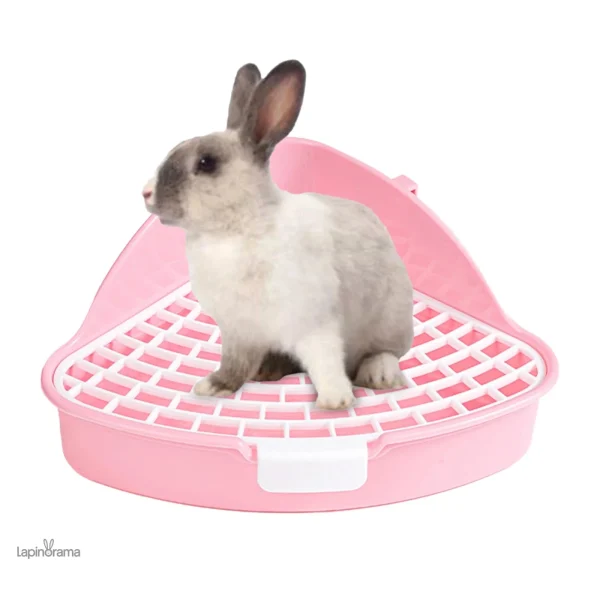 Litière lapin, design adapté pour le bien-être de votre animal
