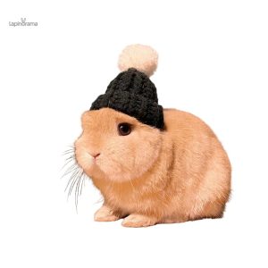 Bonnet pour lapin en tissu doux et confortable