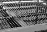 Cage 2 mètres pour rongeurs
