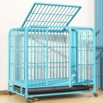 Cage spacieuse pour lapin, inclut litière pratique