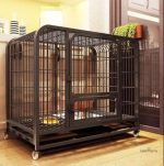 Habitat adapté pour lapins bélier nains, design spacieux