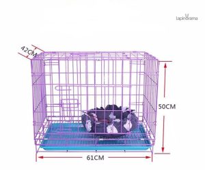 Cage lapin bleu, design pratique et accueillant pour rongeurs