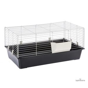 Cage pour lapin Caesar 3, spacieuse et confortable