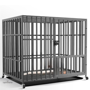 Cage Lapin Extérieur XXL pour un habitat spacieux