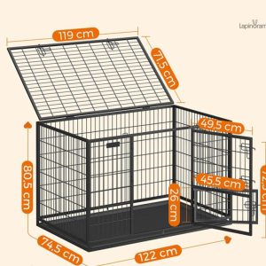 Habitat spacieux pour lapins de grande taille