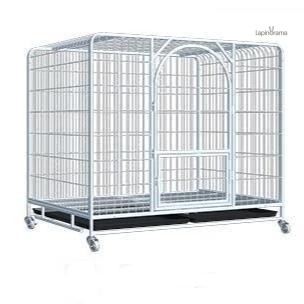 cage-lapin-haute-1 Cage Lapin haute pour un habitat confortable et sécurisé