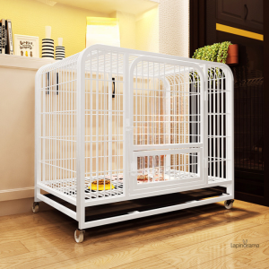 Cage lapin, design esthétique pour un habitat agréable