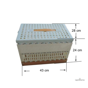 Habitat pour lapin, conçu pour le confort et le jeu