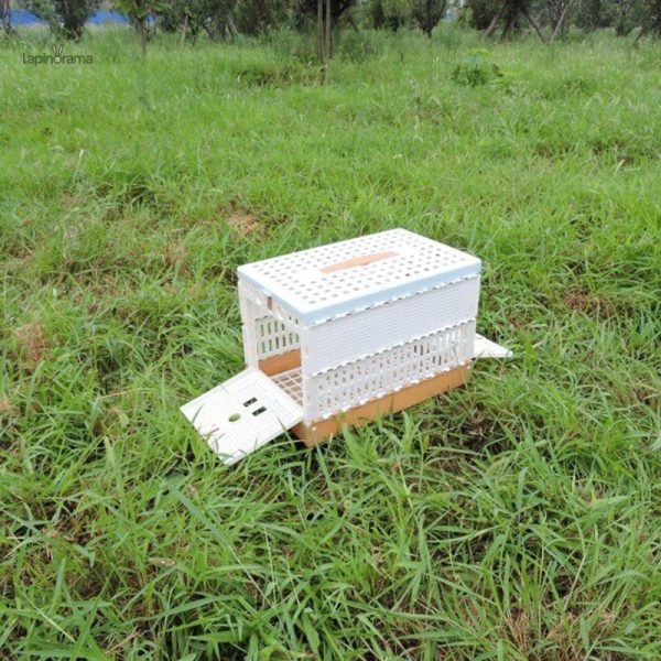 Cage modulable pour lapin, idéale pour l'intérieur et l'extérieur