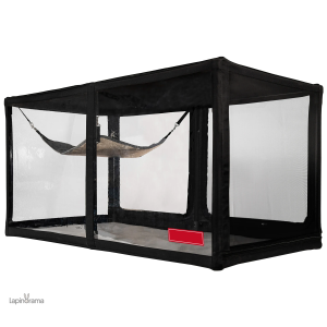 Cage pour lapin nain extérieure
