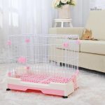 Habitat idéal pour lapins, design sans odeur pour un confort optimal