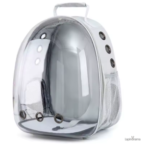 Cage Lapin transparente idéale pour le confort des rongeurs