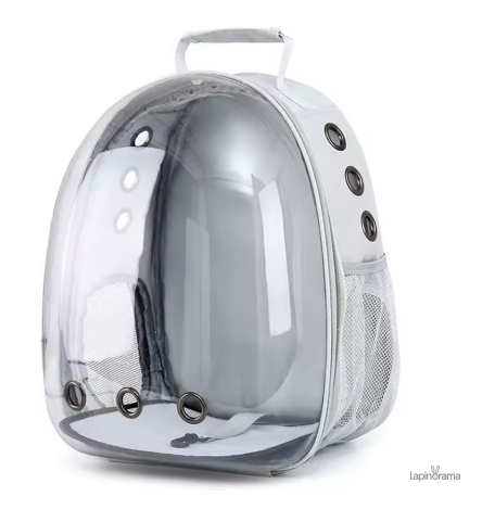 cage-lapin-transparente-1 Cage Lapin transparente idéale pour le confort des rongeurs