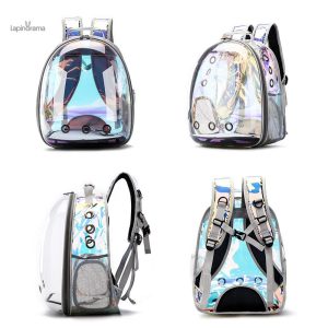 Cage design transparent pour un entretien facile et une vue claire