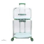 Cage de transport pour petits animaux, design compact