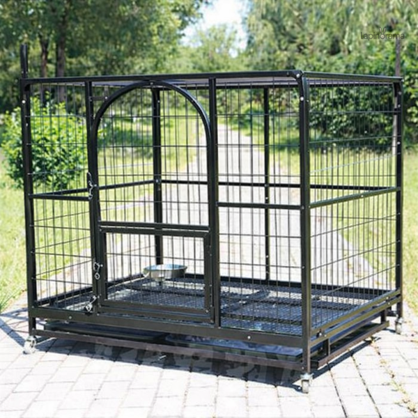 Cage spacieuse pour lapins, idéale pour l'intérieur