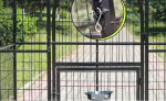 Cage adaptée aux grands lapins, sécurité et confort