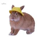 Casquette pour lapin en tissu doux