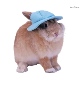 Casquette lapin aux couleurs vives