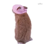 Accessoire de mode pour petits animaux