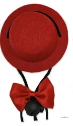 Chapeau mignon pour lapin, style unique et tendance