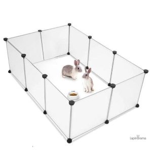 Clapier Lapin Bélier pour un habitat confortable et sécurisé