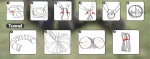 Tente tunnel pour lapins, refuge et jeu interactif