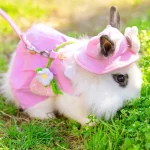 Vêtement lapin, combinaison pratique pour l'hiver