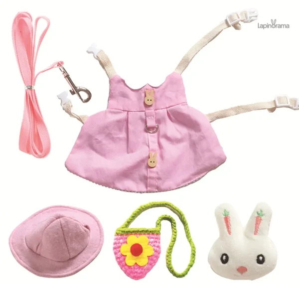 Manteaux pour lapin, mode et confort réunis