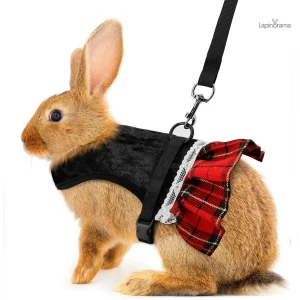 Costume pour lapin mignon et confortable