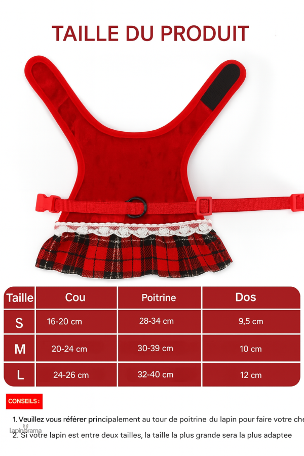 Manteau adapté pour un lapin en toute saison
