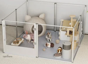 Enclos pour lapin, espace de jeu et d'exploration