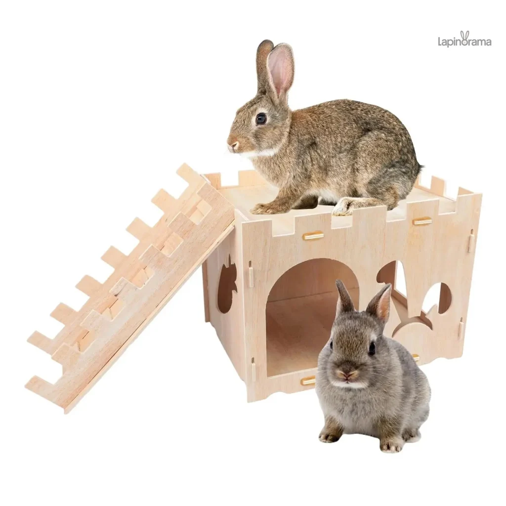 Tunnels & Escaliers Lapin