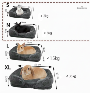 Le rôle essentiel des câlins dans la vie de votre lapin