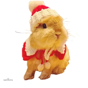 Écharpe pour lapin en tissu doux et coloré