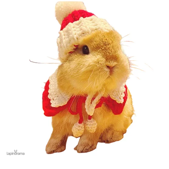 foulard-lapin-1 Écharpe pour lapin en tissu doux et coloré