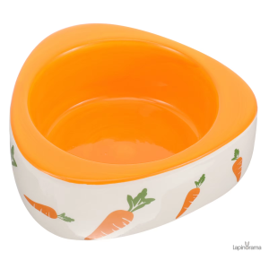 Gamelle pour lapin, idéale pour les repas quotidiens