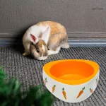 Accessoire essentiel pour l'alimentation de votre lapin