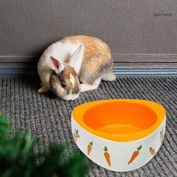 Accessoire essentiel pour l'alimentation de votre lapin